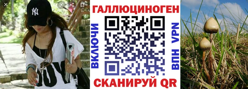 Купить где  Чекалин  Галлюциногенные грибы Magic Shrooms 