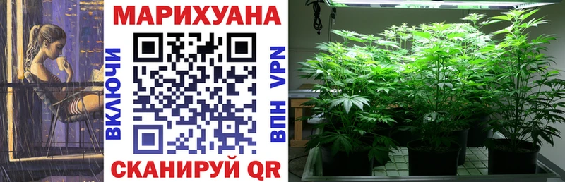 Марихуана семена  Купить закладки  Чекалин 